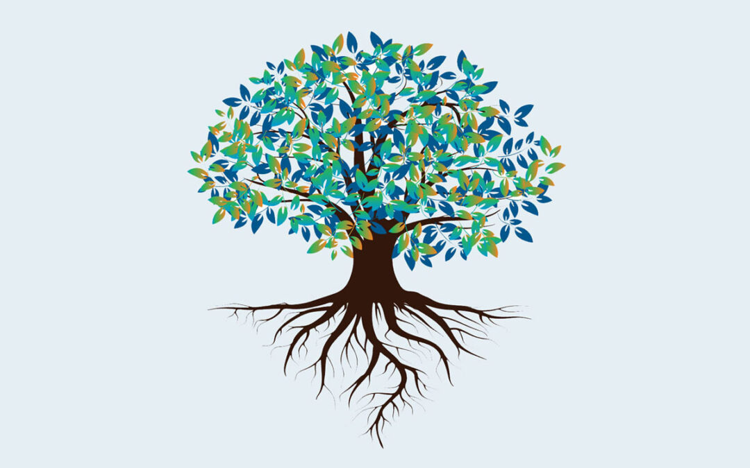 Presentation Myths and Misperceptions