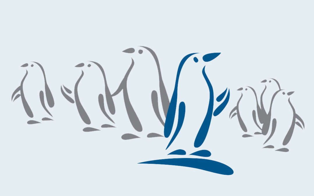 Quantity Over Quality?